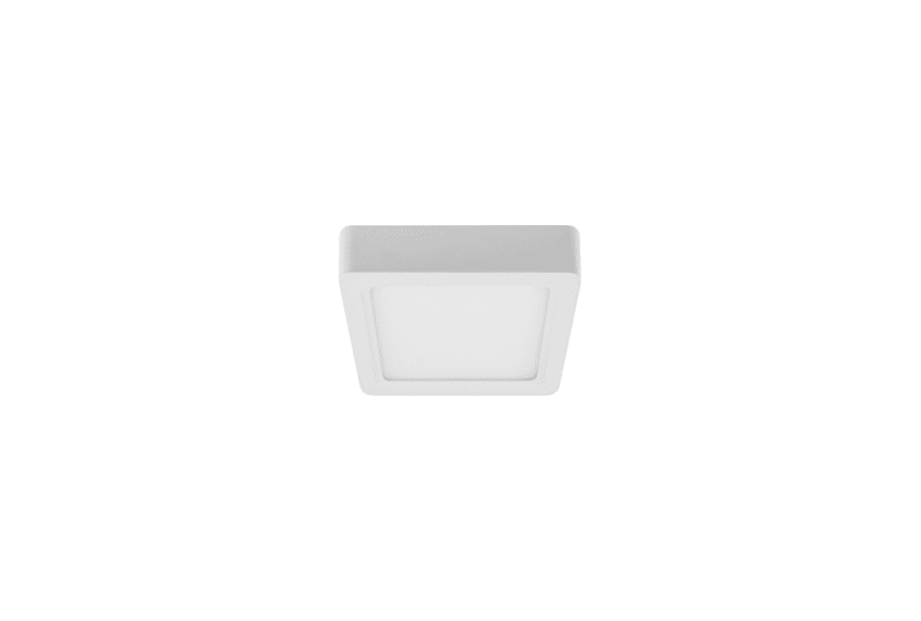 FSS623S-E Emergency Light Series