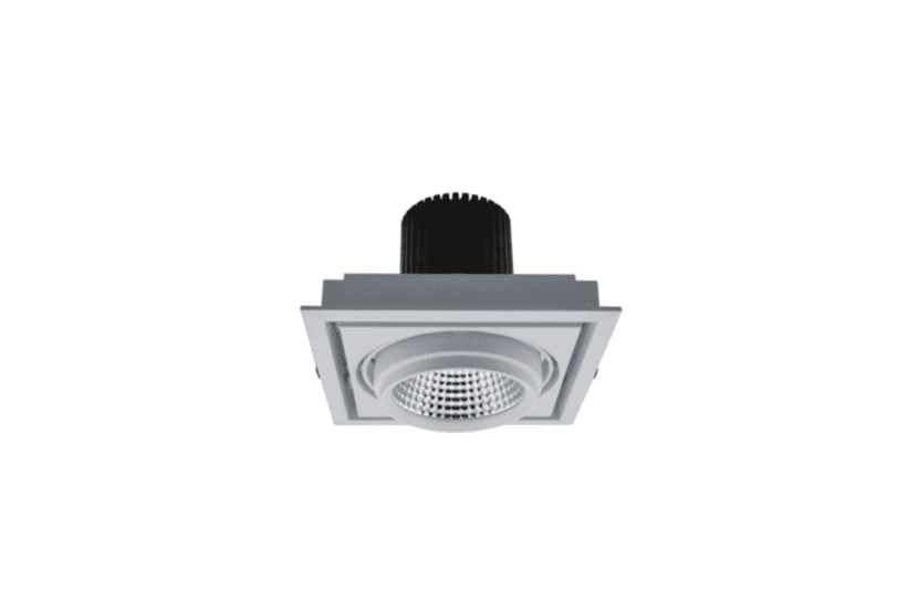 FDC209S-50W Grille Light Series