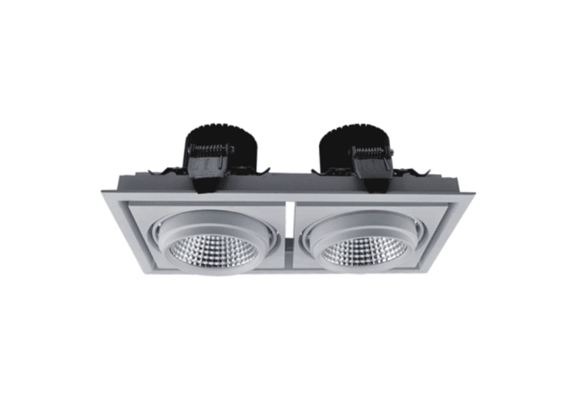 FDC209S-50W*2 Grille Light Series