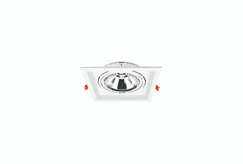 FPG4002-1*QR111-AD
