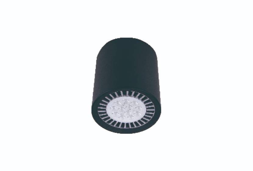 FPM6003-PAR38