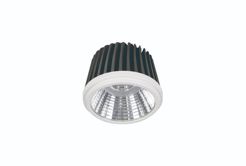 FLC704 AR111 30W
