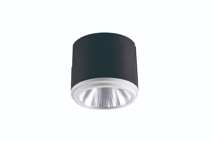 FLC761 AR111 42W