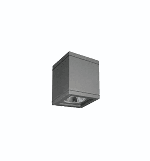 Surface Ceiling Light